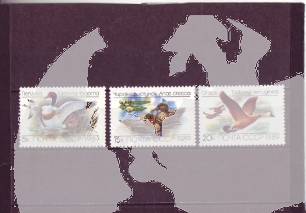 SSSR 5965 / 5967 ** - 1989